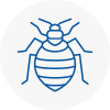 Bed Bug Extermination In Pimlico