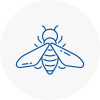 Bee Nest Removal Pimlico