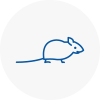 Mice Exterminators In Pimlico