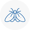 Moth Control Specialists In Pimlico