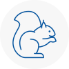 Pimlico Rodent Removals